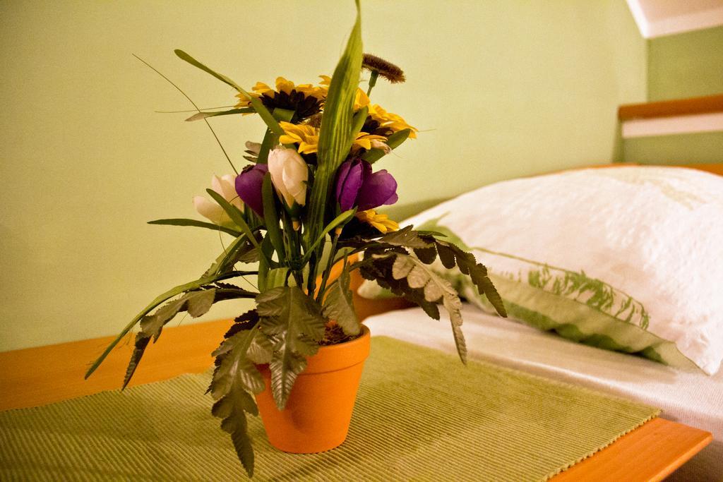Guesthouse Jug Blato エクステリア 写真